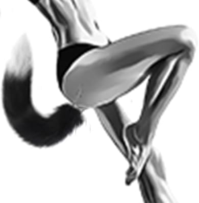 Fluffy Fox Tail Anal Plug with Polished Metal Base（سدادة شرجية بذيل ثعلب ناعم وكثيف مع قاعدة معدنية مصقولة）